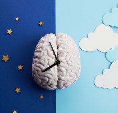 Are You Sleeping Enough for Your Brain?